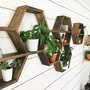 Hanah Home Raf109 Set de 6 Estantes de Pared en Madera Maciza Nogal